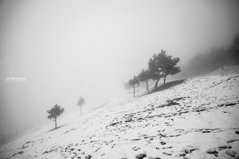 snow, winter, landscape, black and white, travel, *** фото превью