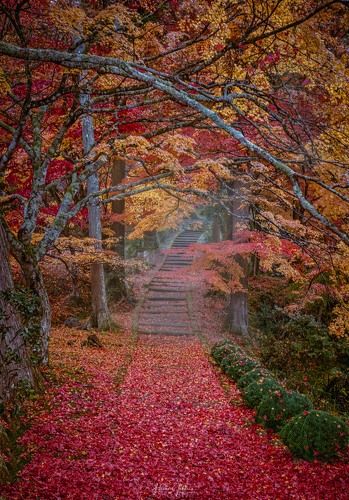Autumn in Japan