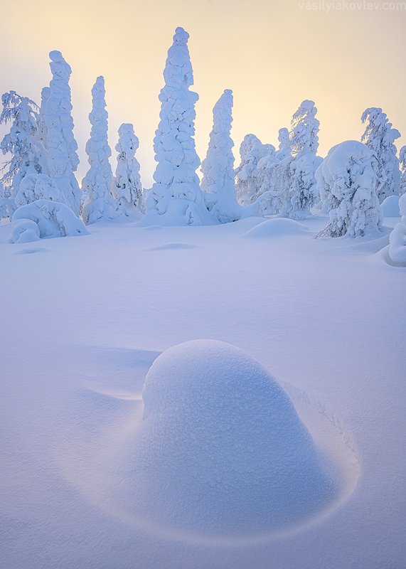 Зимний сон фото превью