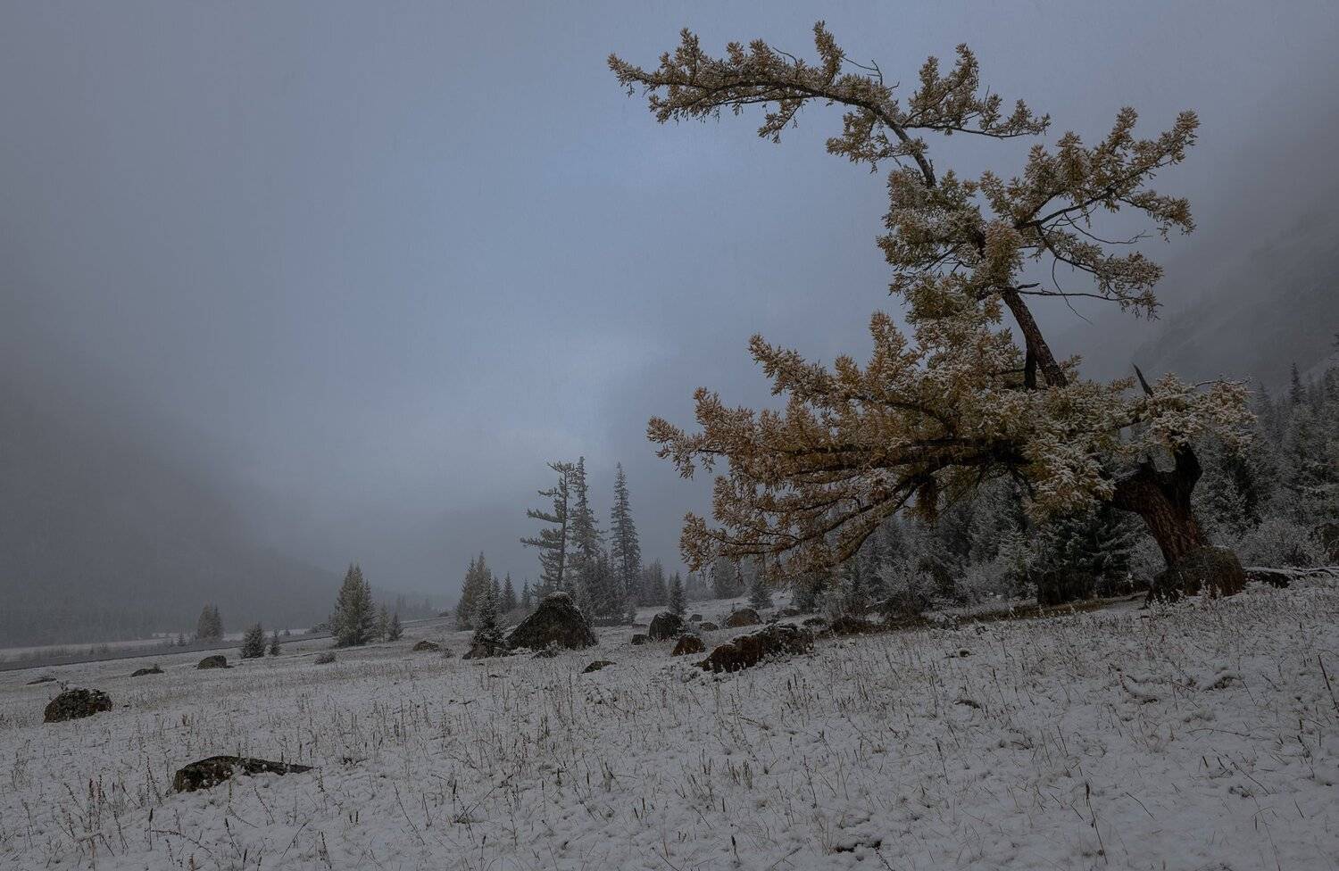 алтай.северо-чуйский хребет.,первый снег., Марина Фомина