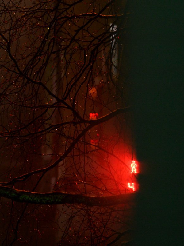 уличная фотография, северодвинск, осень, ночь, Капли фото превью