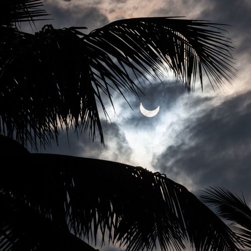 Солнечное затмение. Индия