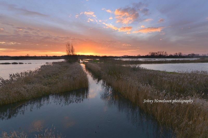 My region. фото превью