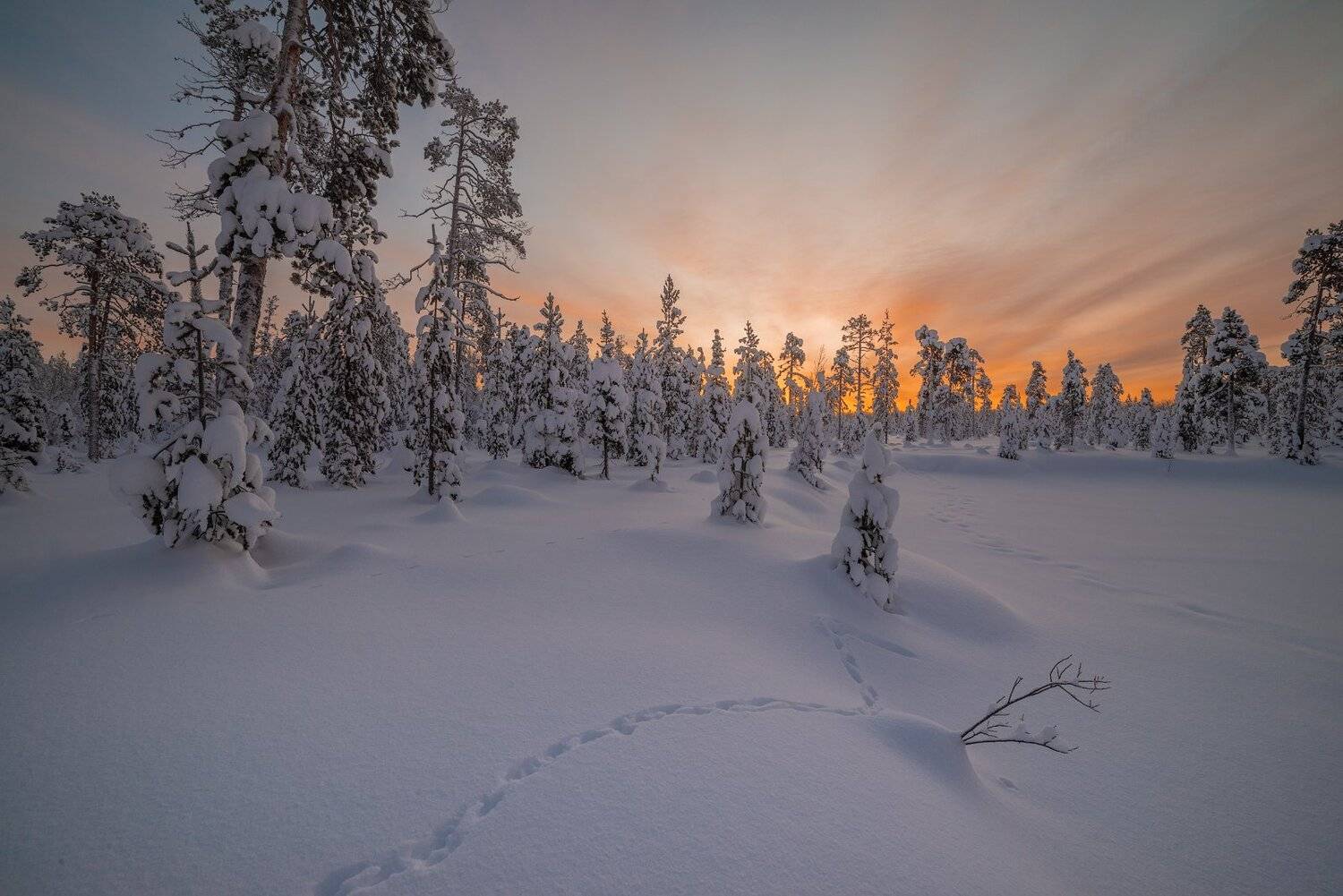 север, кольский, хибины, заполярье,, Роман Горячий