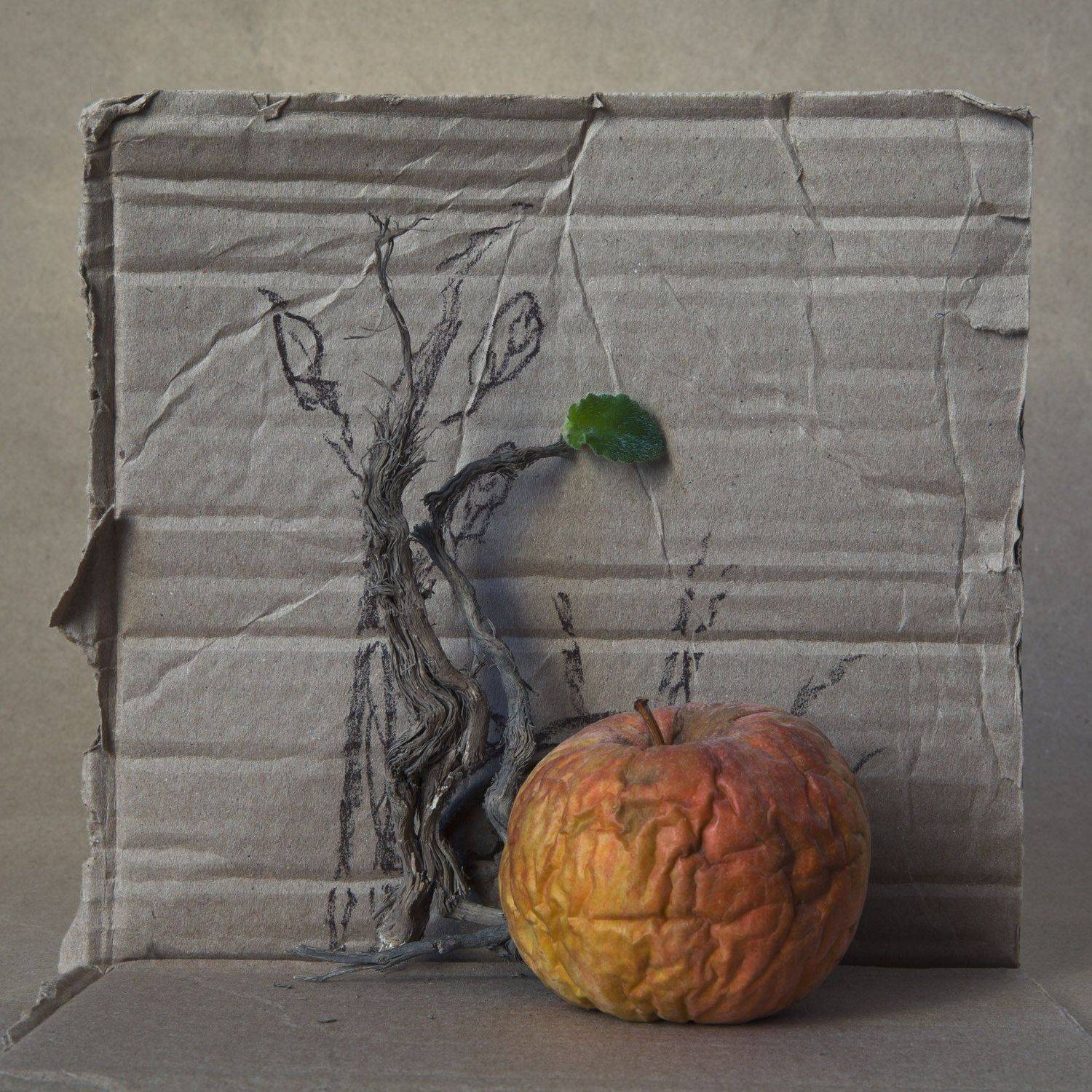 , Виктор Кириллов