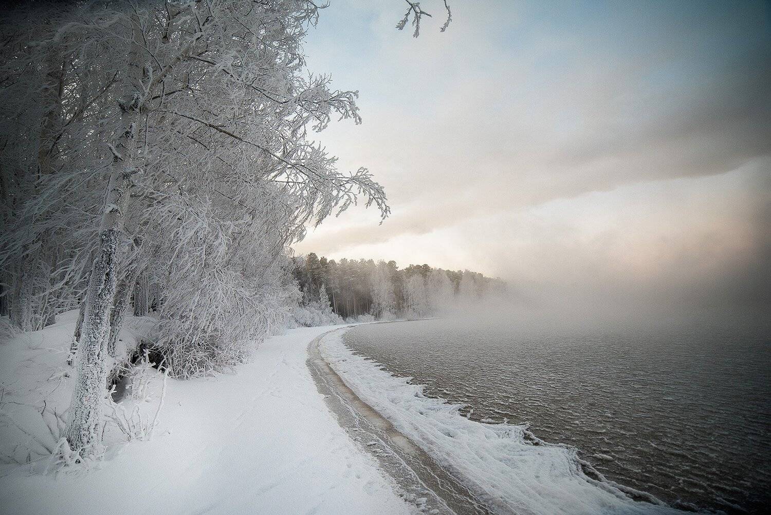 , Валерий Кучинский