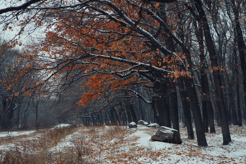 *** фото превью