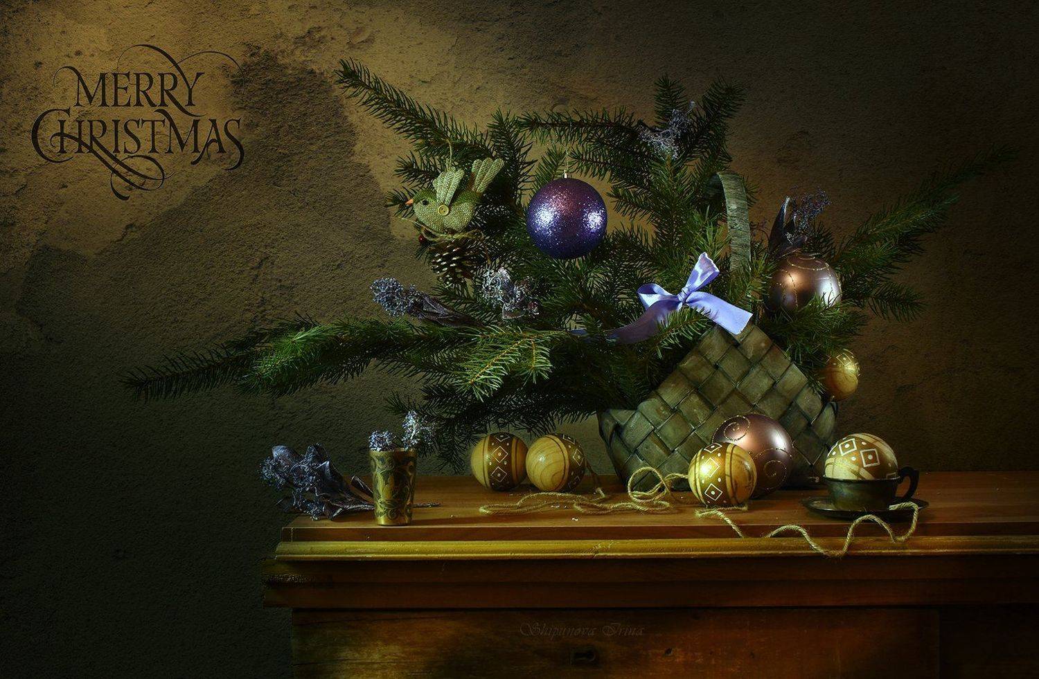 , Шипунова Ирина