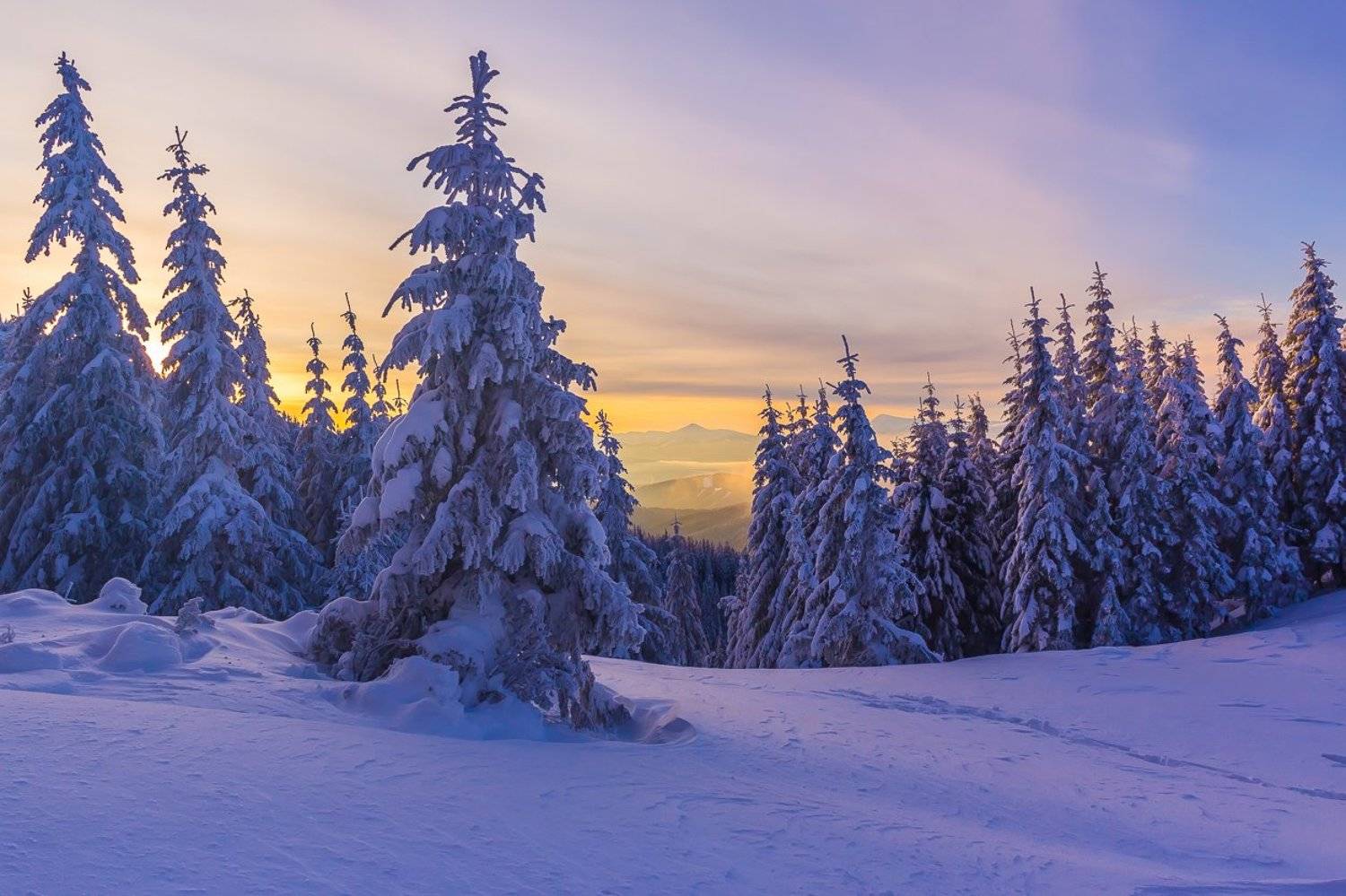 , Александр Подрез