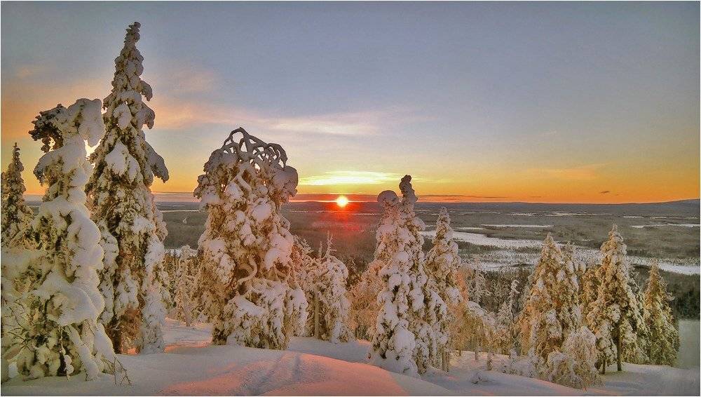 , Сергей Никсон