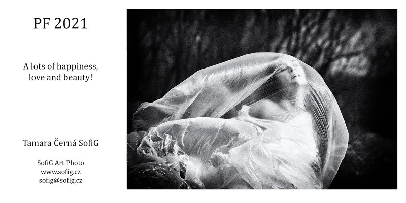 pf PF 2021 фото превью