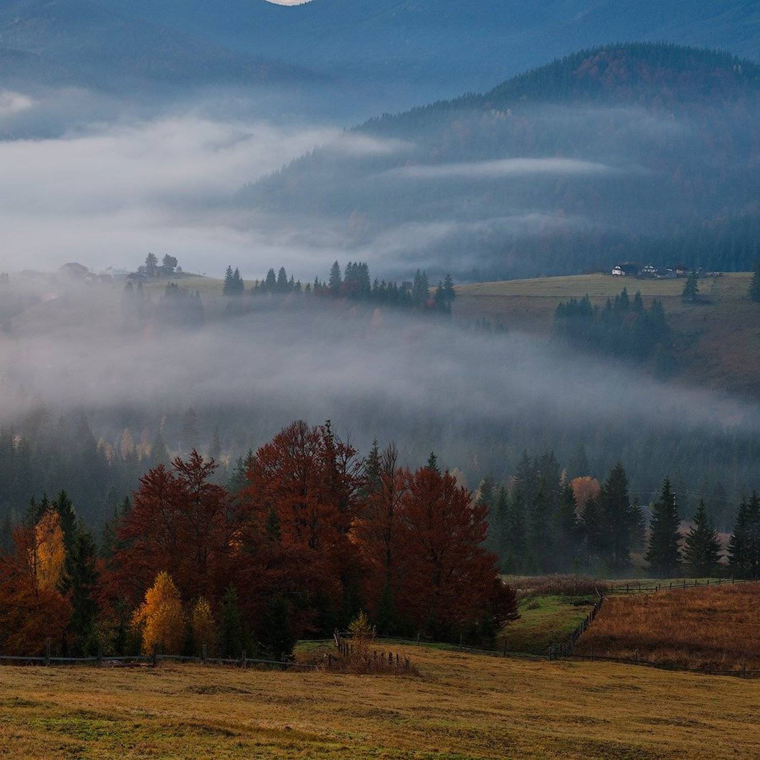 , Олег Логунов