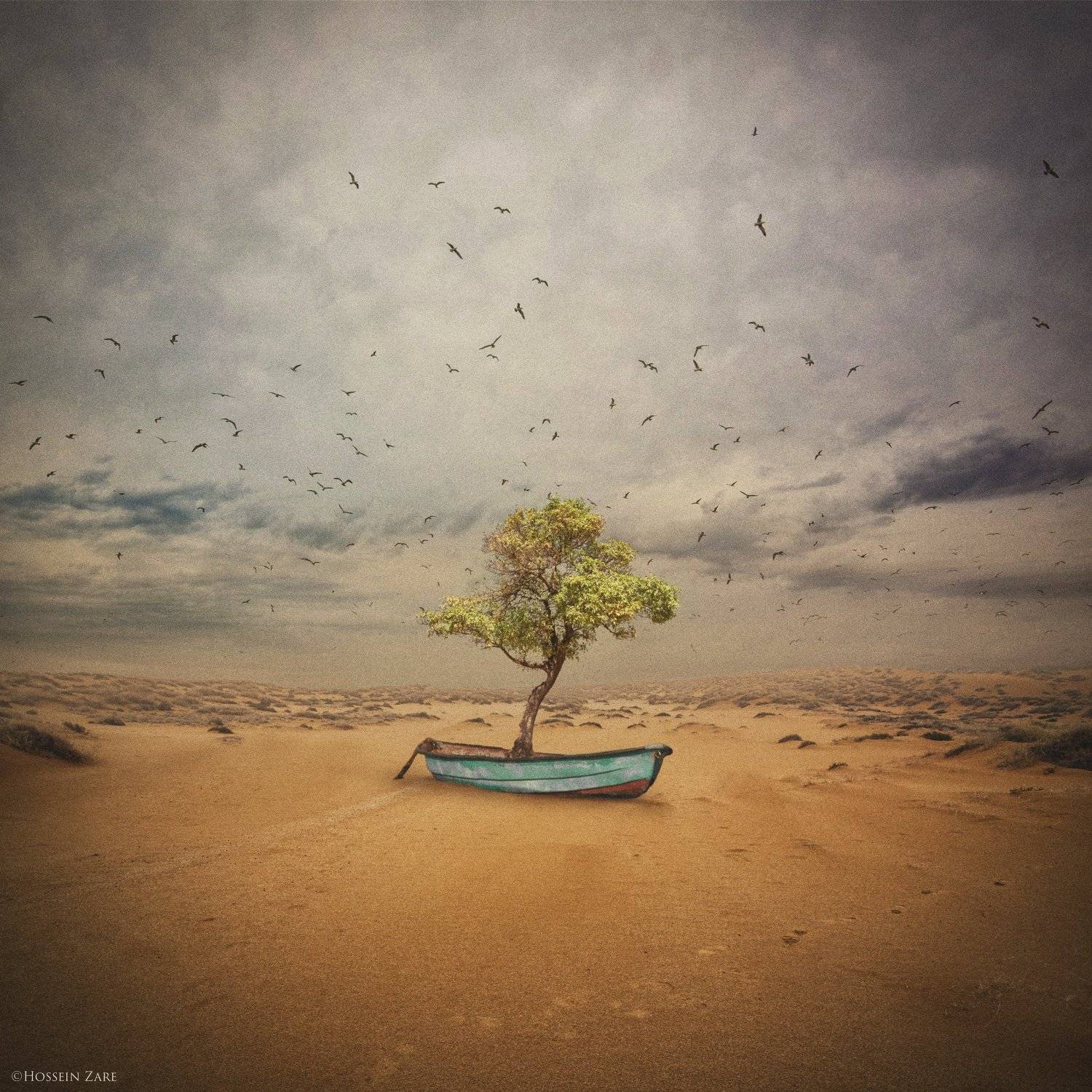 , Hossein Zare