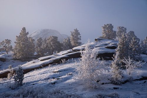 Утро морозного дня