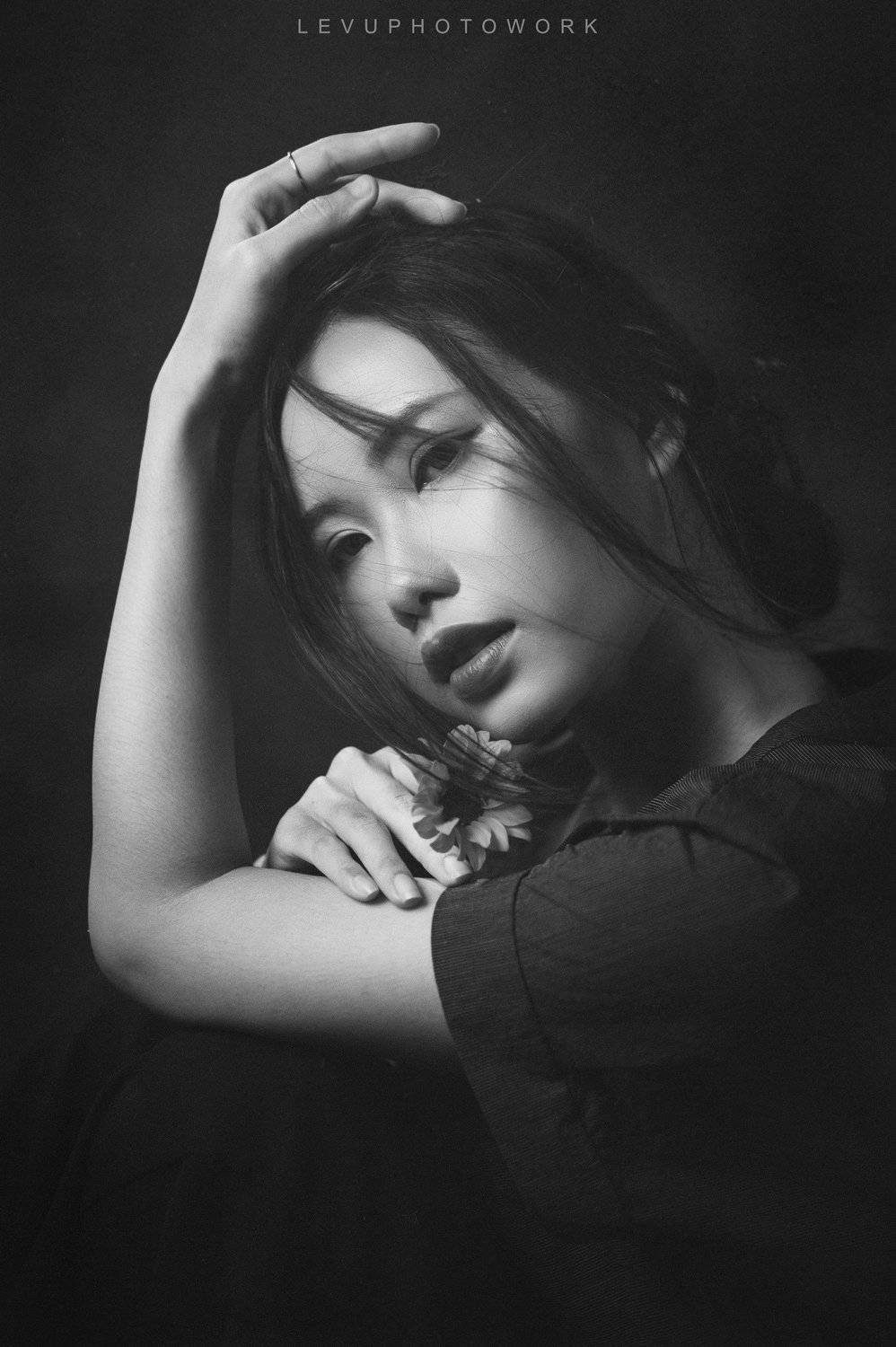 , L&ecirc; Nguyễn Vũ