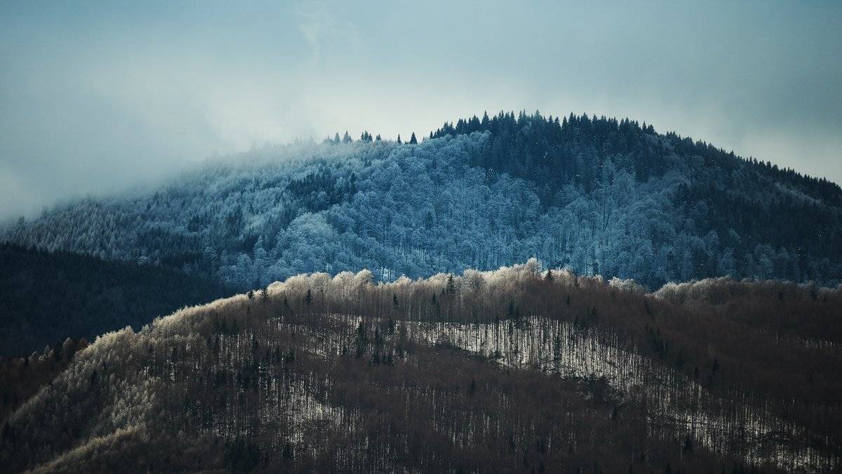 , Stefan Chirobocea