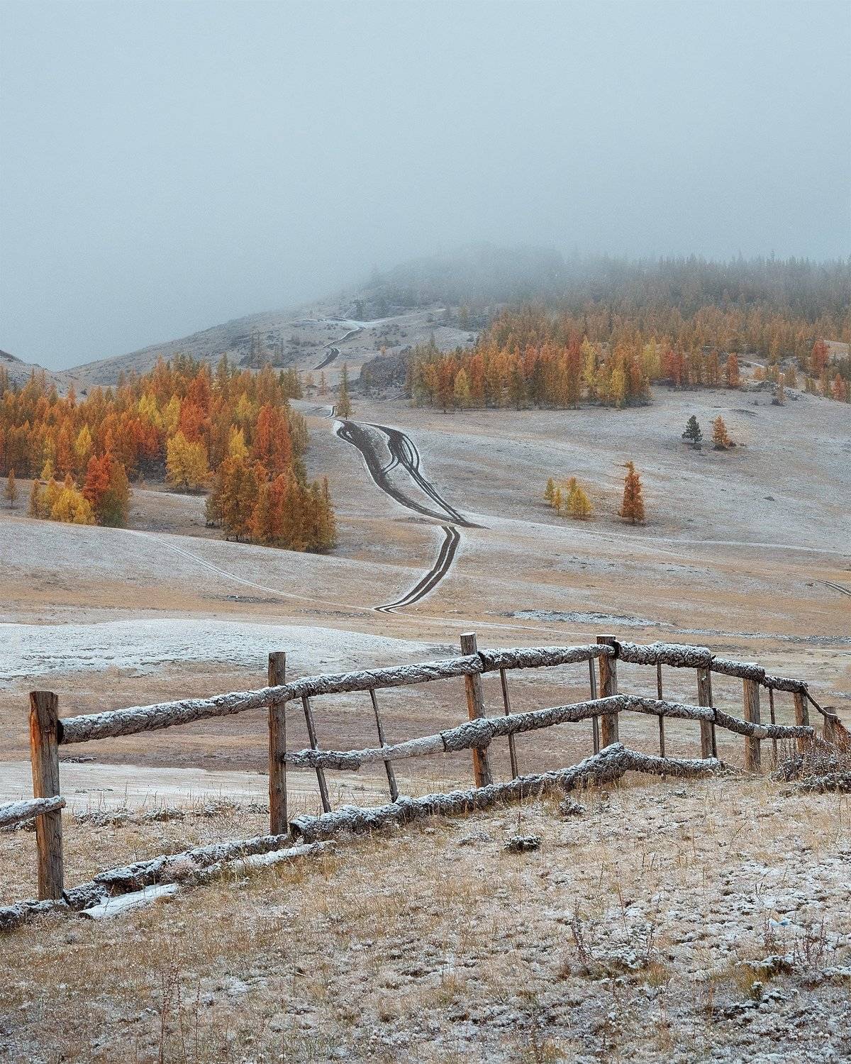 , Андрей Родионов
