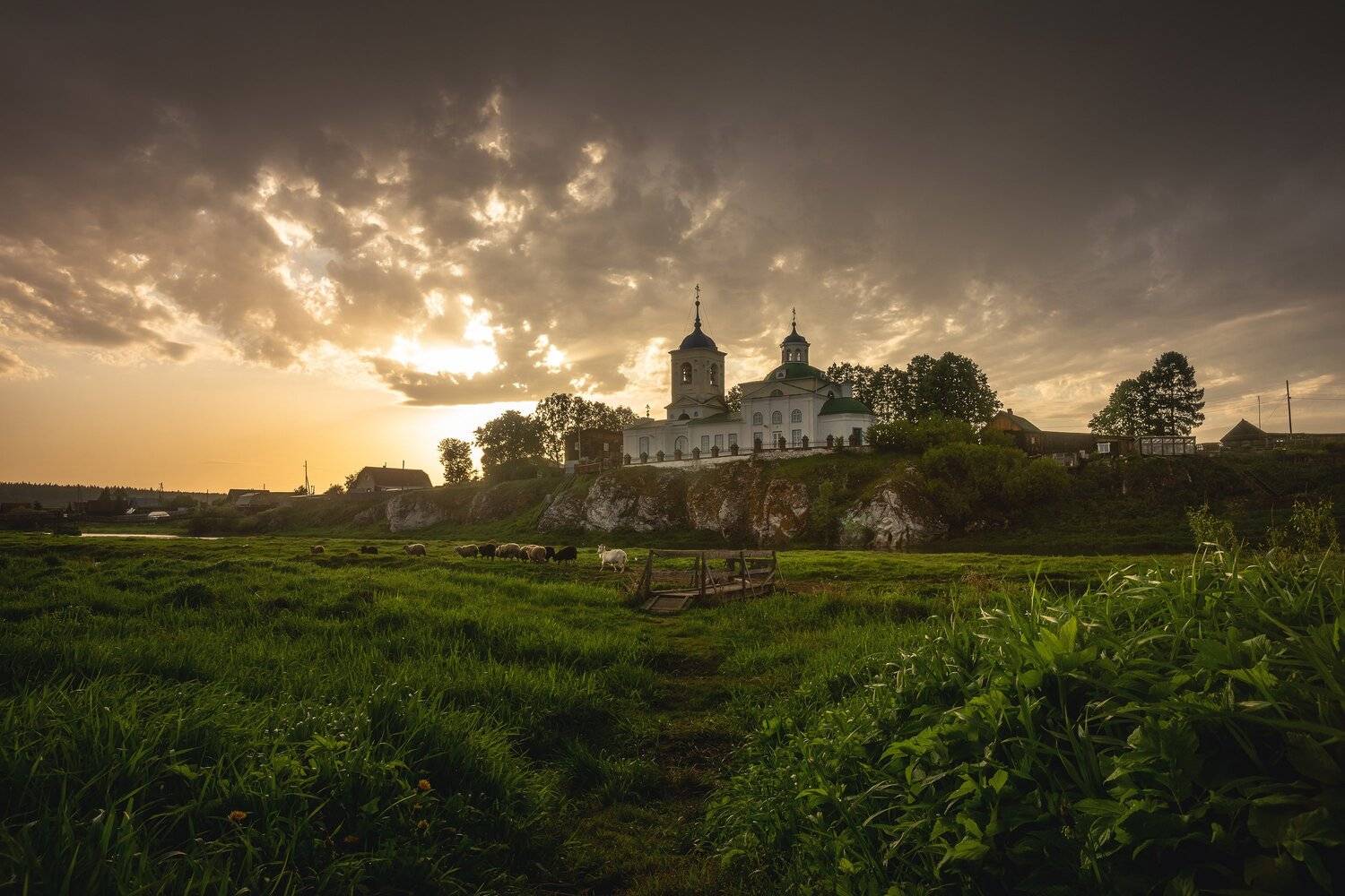 , Алексей Козаченко