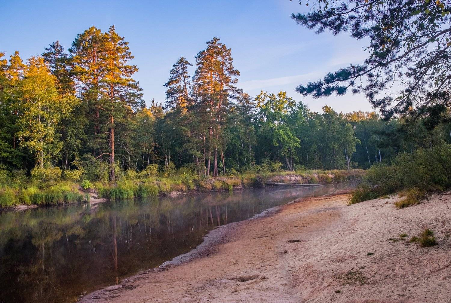 , Екатерина
