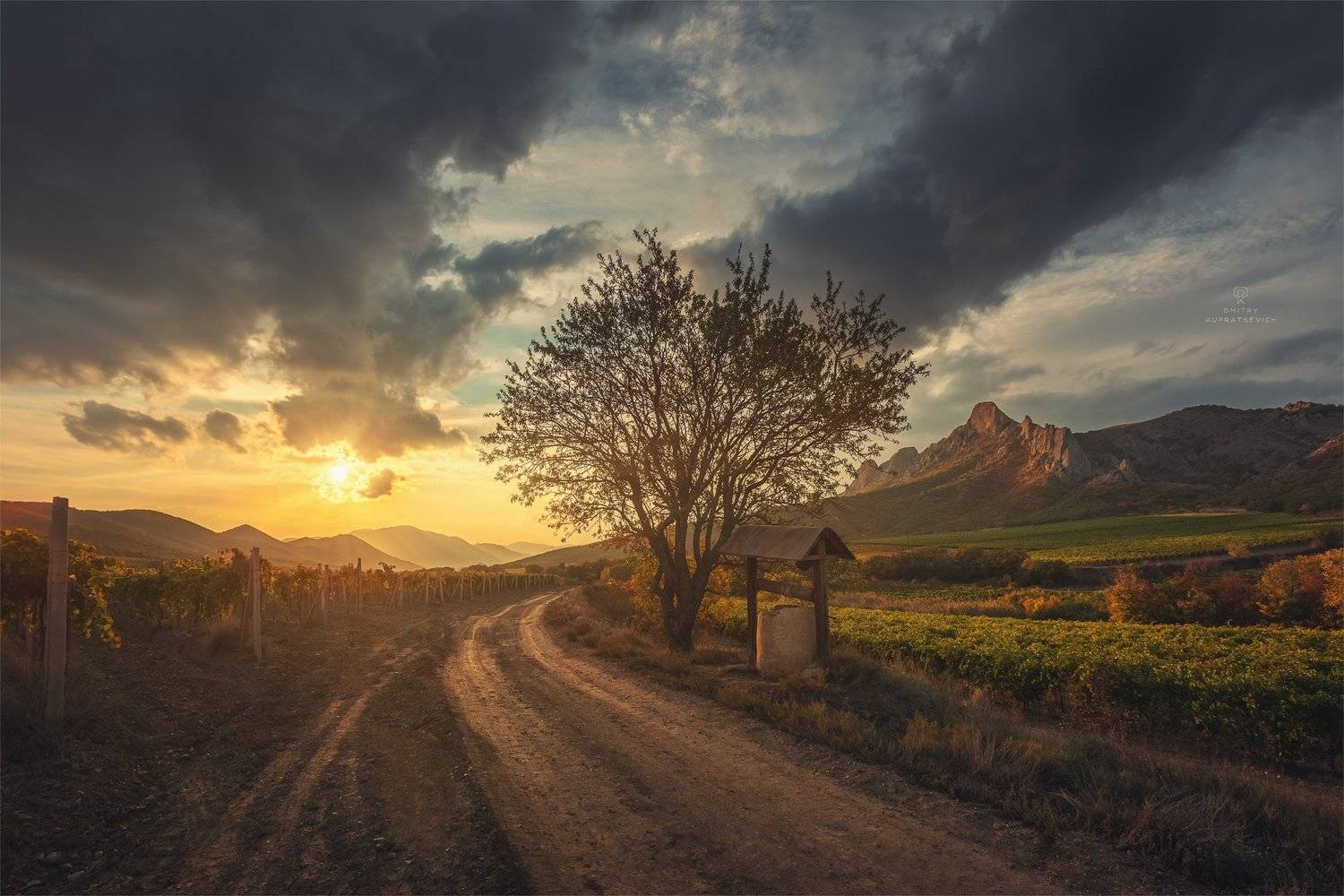 , Дмитрий Купрацевич