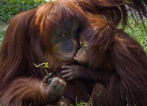 A Gift on Mother’s day