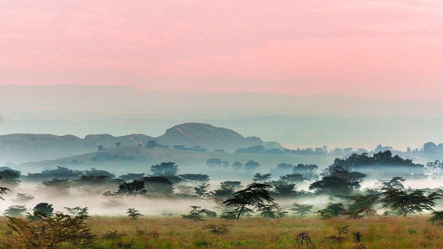 , Сергей Савви