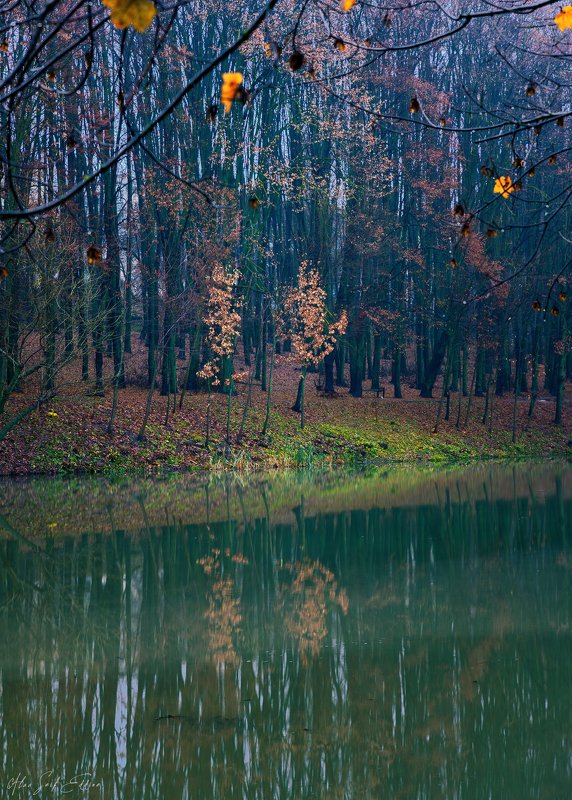 landscape, nature, winter, scenery, photography, silence, alone  фото превью