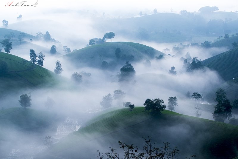 #sellingphoto.#landscape.#phuthovienam. Morning Long Coc фото превью