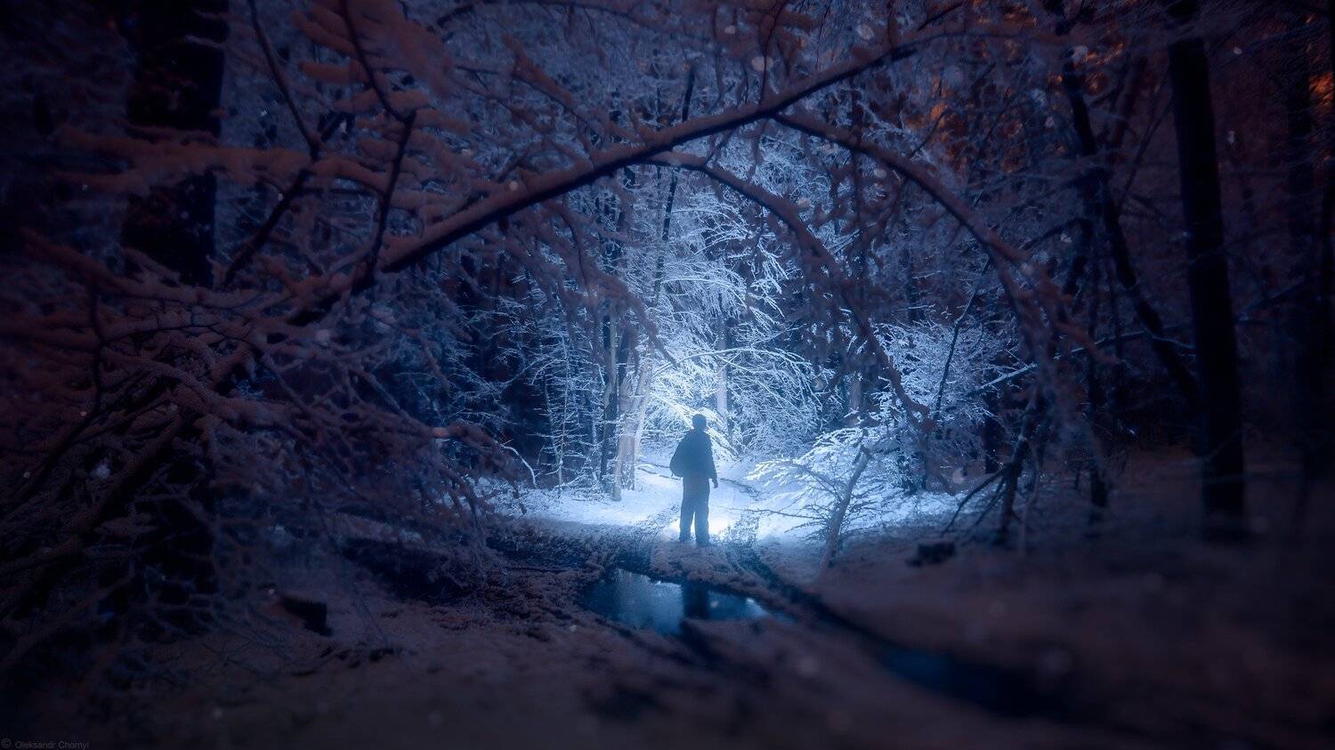 украина, коростышев, природа, лес, тишина, зима, снегопад, сияние, свет, уединение, жизнь, вдохновение, сказка, волшебство, фотограф, чорный, Александр Чорный