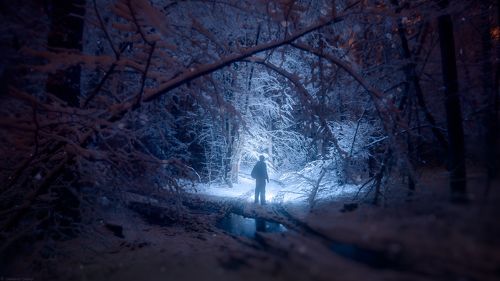 В ночь белоснежную, тихо уйдешь...