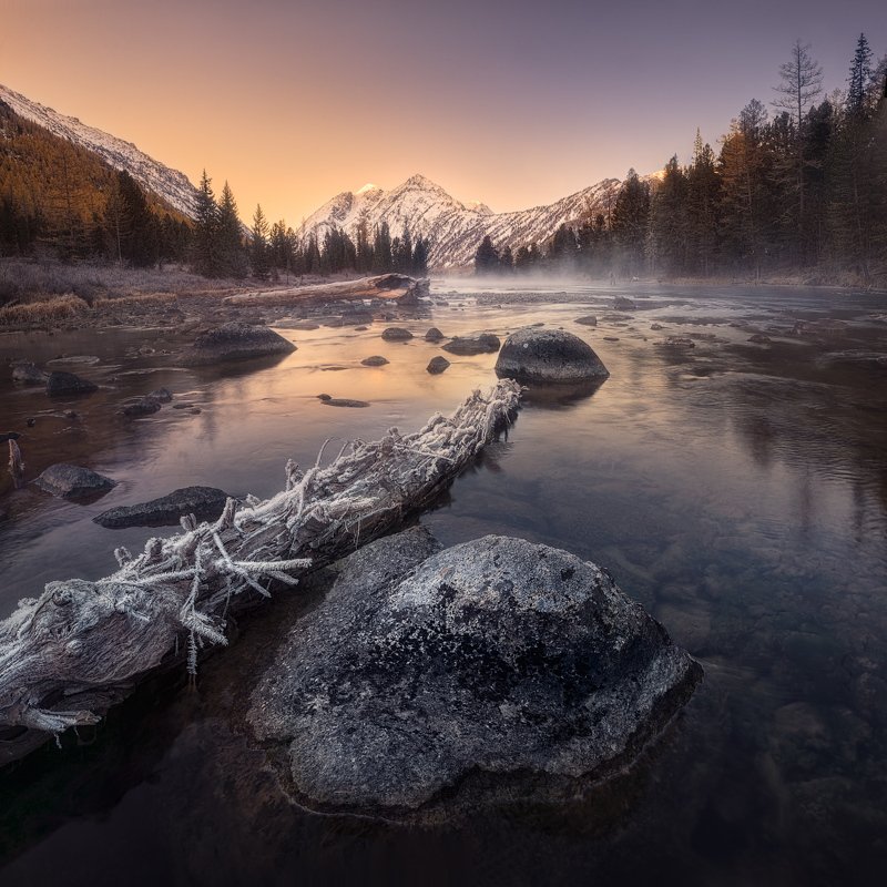 алтай, мульта, осень На берегах реки Мульта фото превью