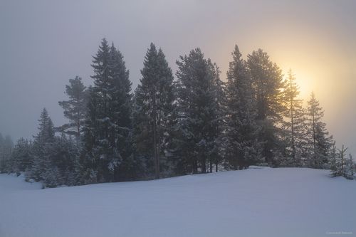 Туманное морозное утро