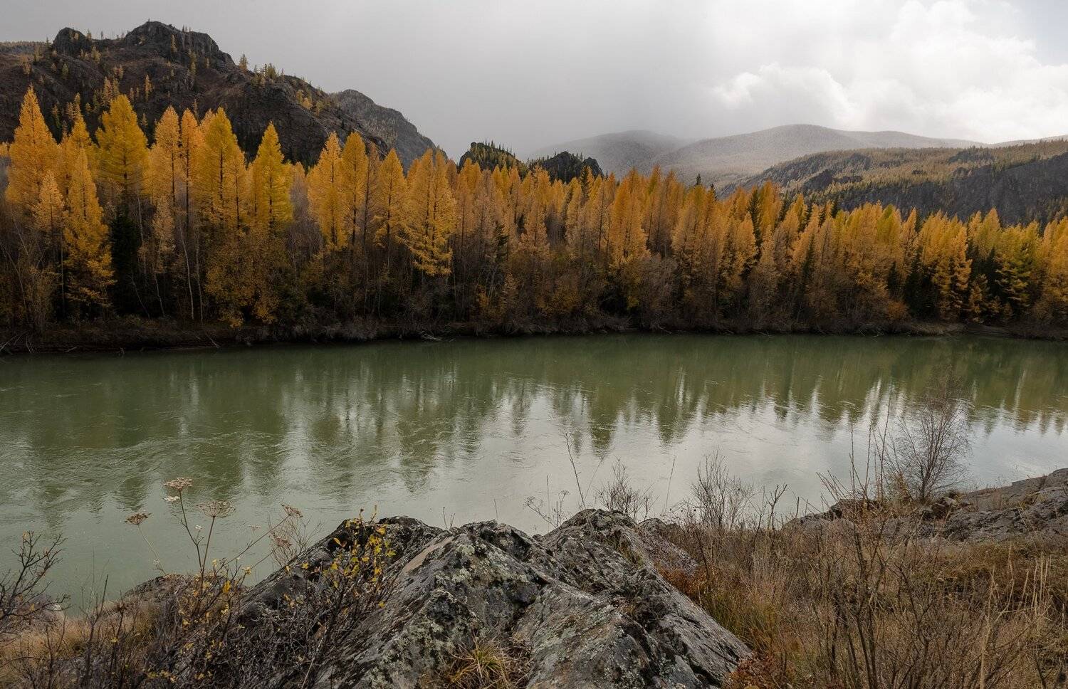 алтай, снегопад, чуя., Марина Фомина