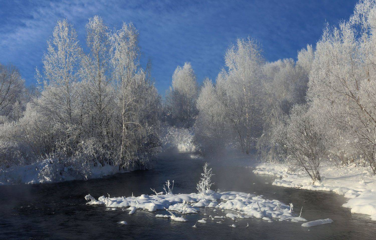 , Галина Хвостенко