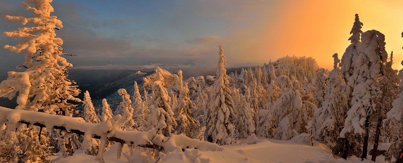 Горная тайга фото превью