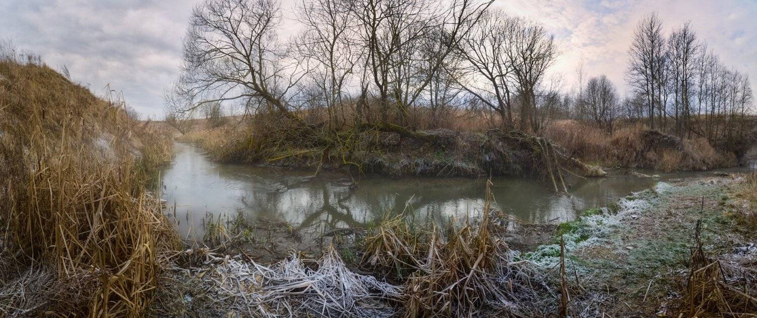 тула, деготня, мясоедово, иней, Сергей Кочергин
