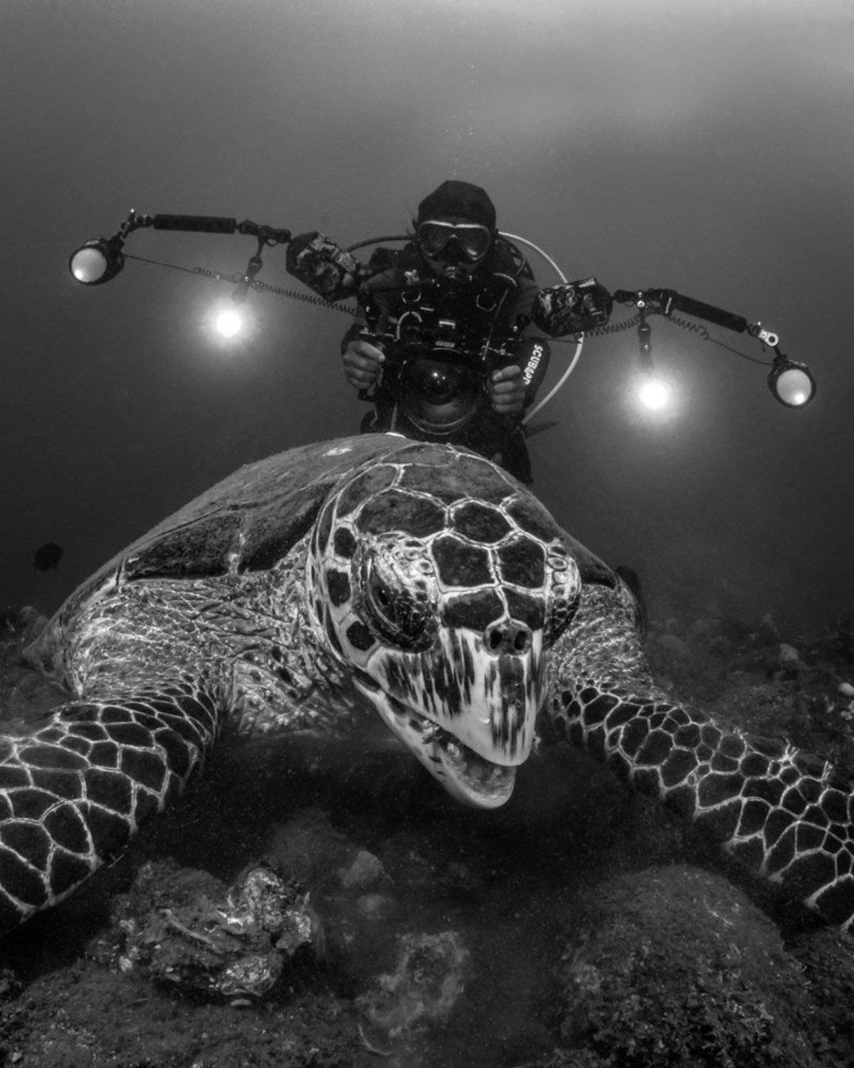 , Андрей Савин