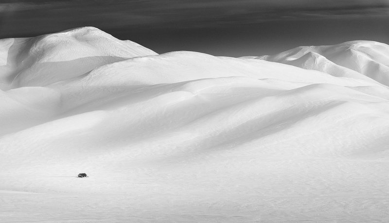 Среди гор белоснежных фото превью