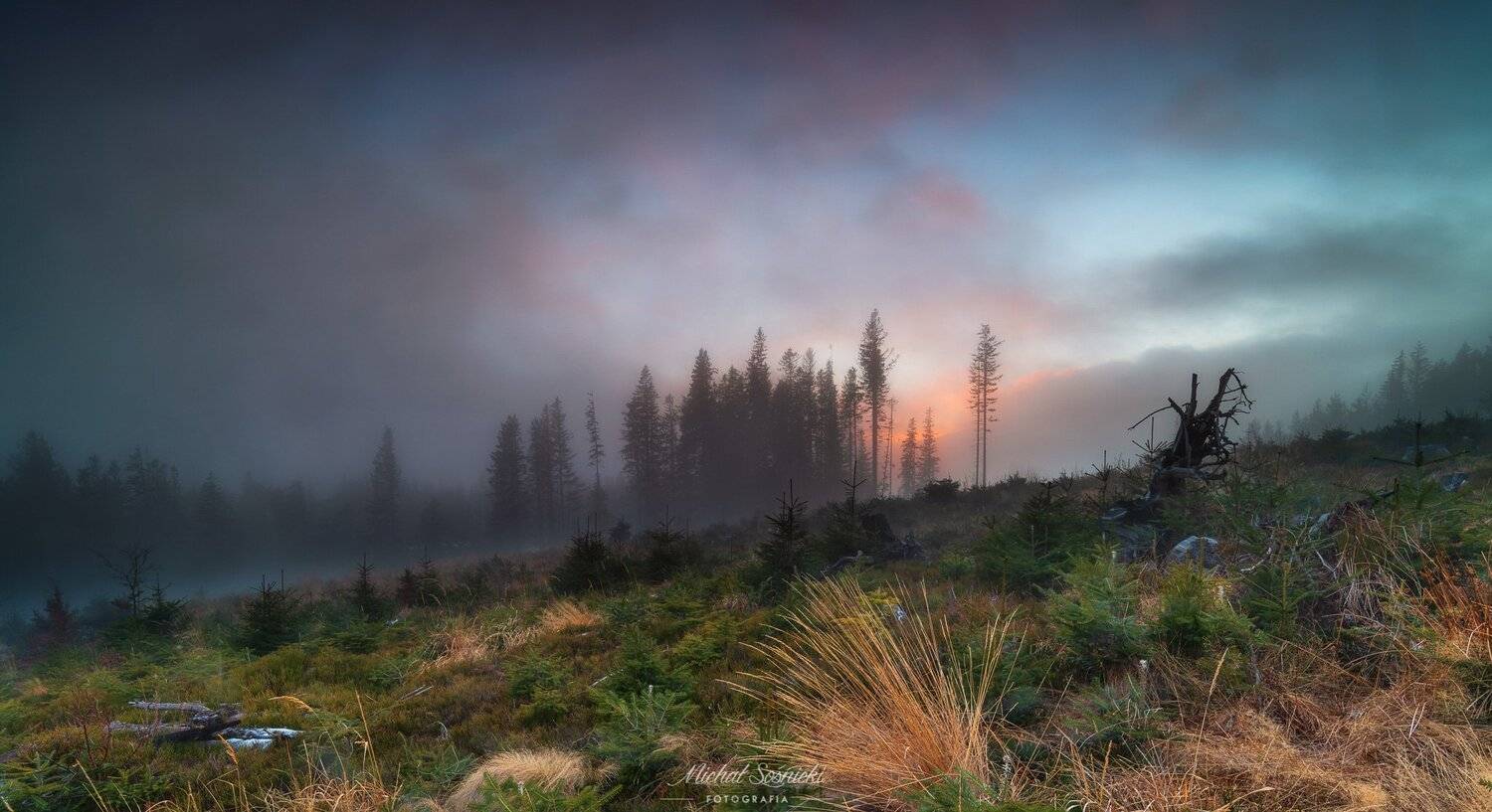 #poland #mountains #benro #benq #pentax #tree #nature #best #sky #trees #clouds #colors, Michał Sośnicki