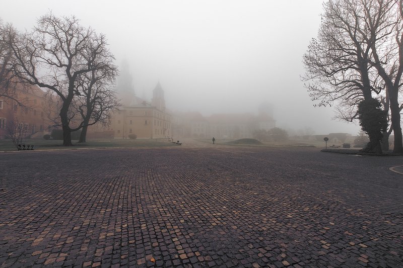 Fadding in to the Fog фото превью