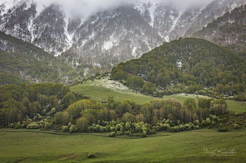 нелётная погода