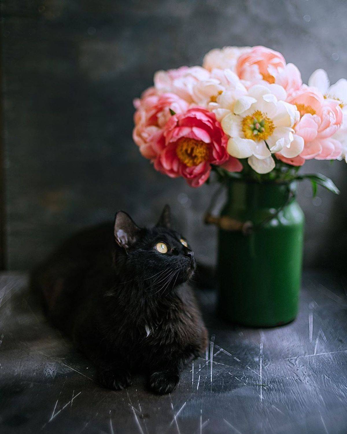 лето, пионы, свет, розовый, желтый, букет, Анастасия Зубкова