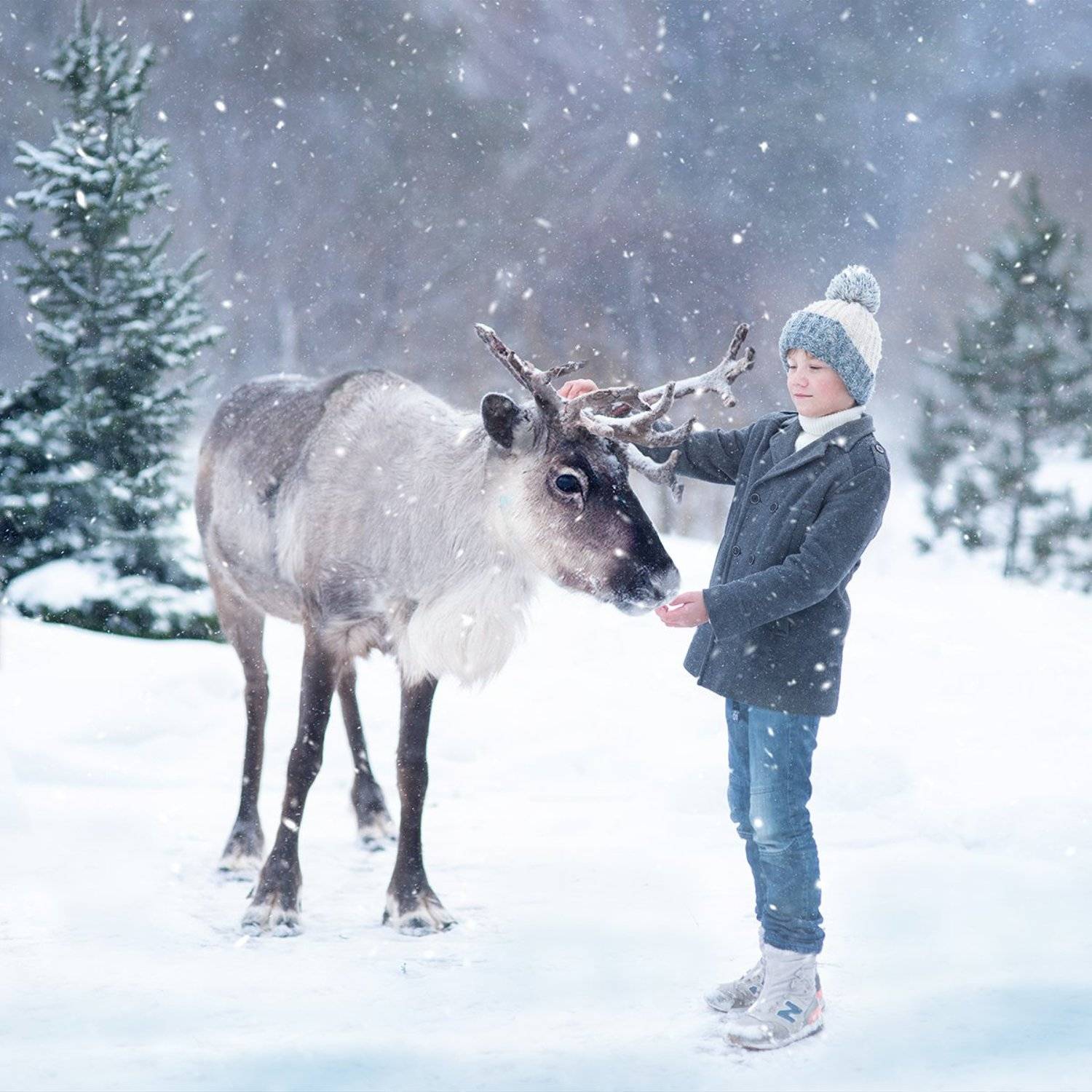 , Анна Середина