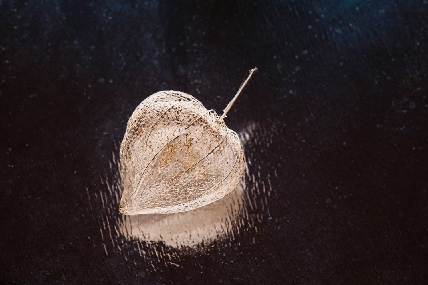 , Григорий Пиль