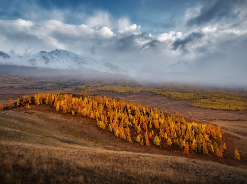 Алтай фото превью
