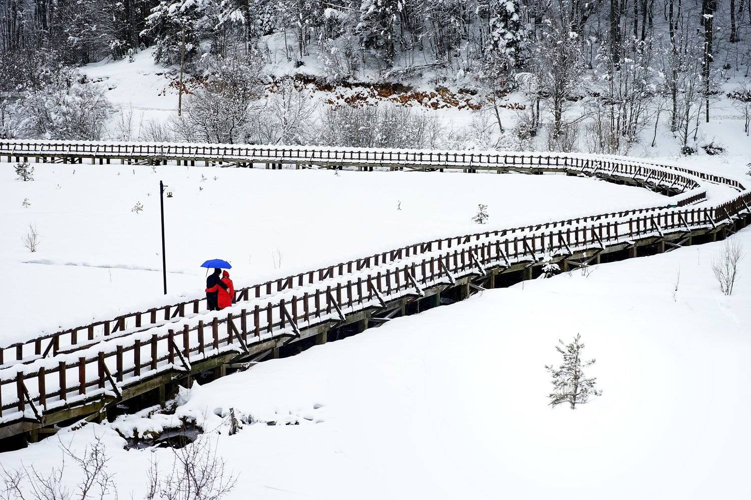 , Gılcan Mete Delibay