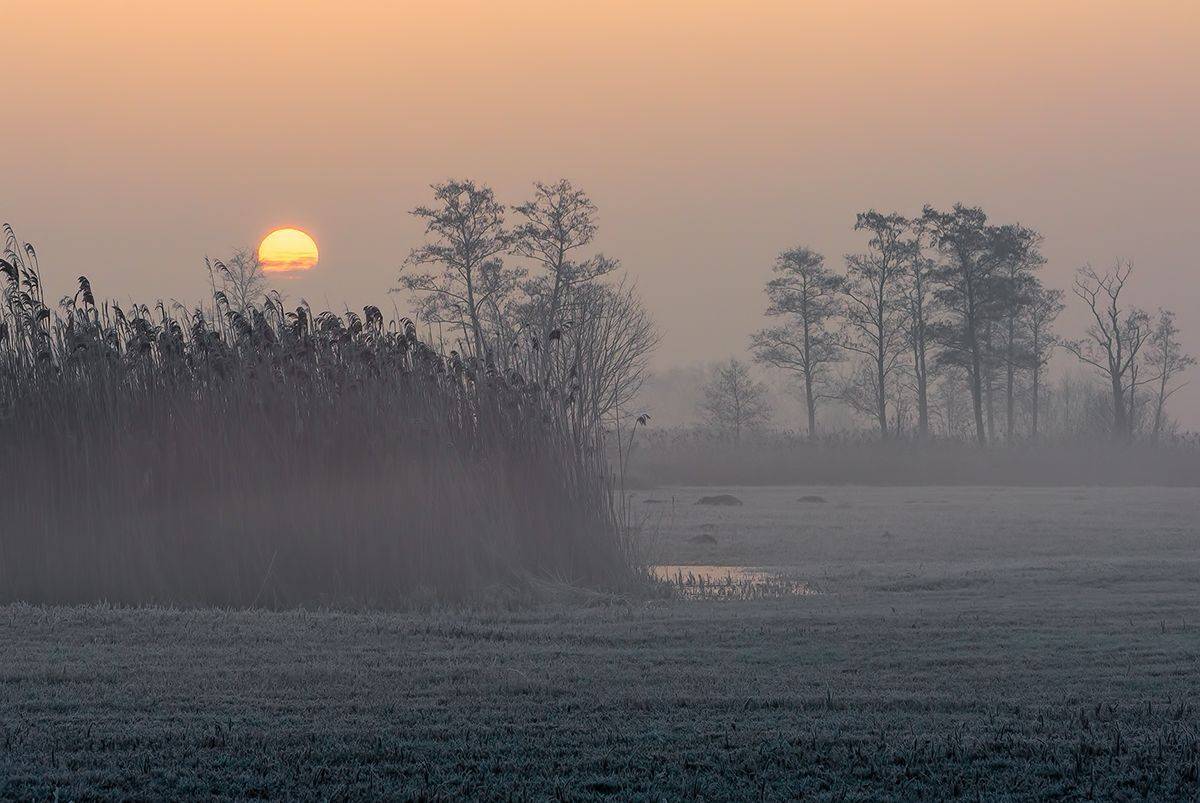 , Sławek Przybylski