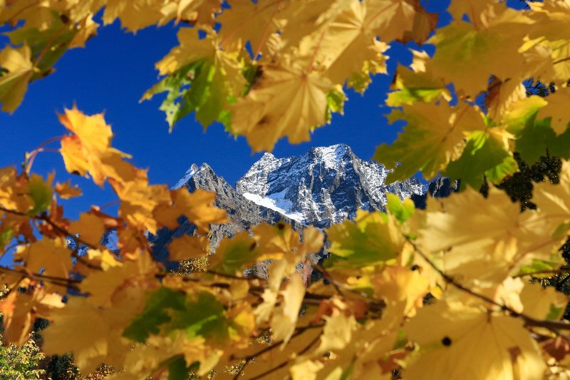 домбай, кчр, тебердп, горы,  фото превью
