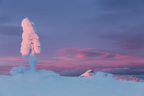 Ускользающий свет