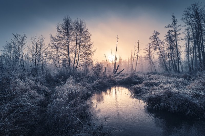 Winter is coming фото превью